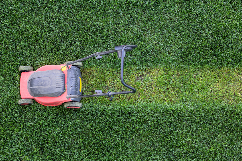 For the Love of Your Lawn, Avoid These 3 Mowing Mistakes